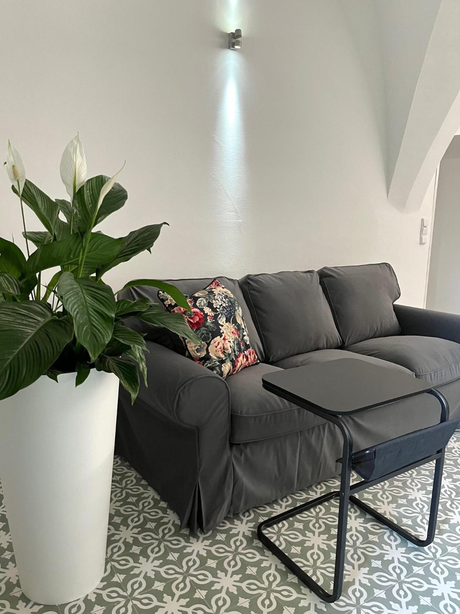 Palac Daun - Studio Apartments 즈노이모 외부 사진